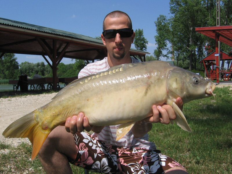 halak 1801.jpg